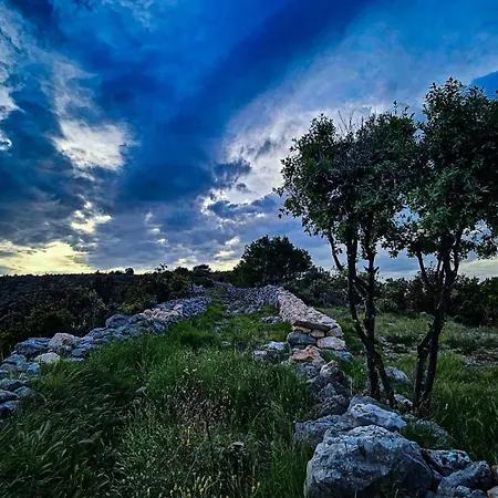 Oda ve Kahvaltı Plava Laguna 4*