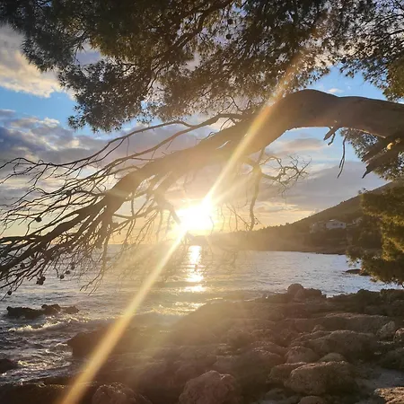 Oda ve Kahvaltı Plava Laguna 4*