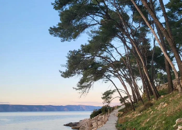 住宿加早餐酒店 Plava Laguna