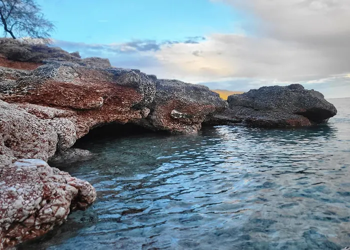 Plava Laguna 4* 萨瓦拉