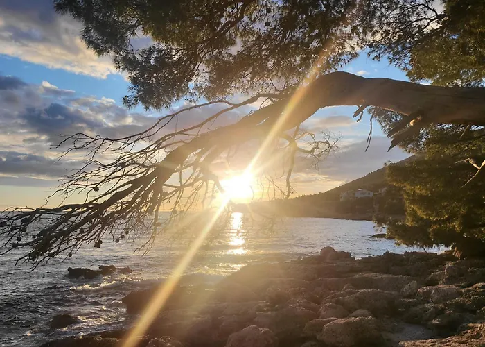 住宿加早餐酒店 Plava Laguna 4*