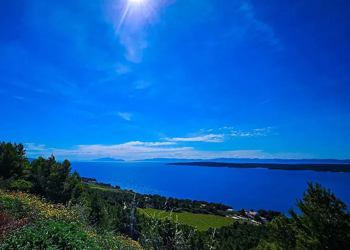 Plava Laguna 4* زافالا