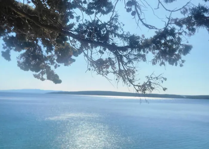 Plava Laguna زافالا