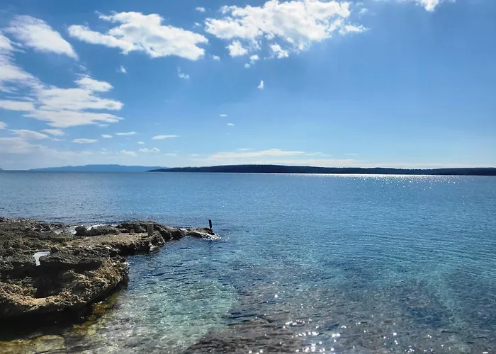 Plava Laguna 4* زافالا